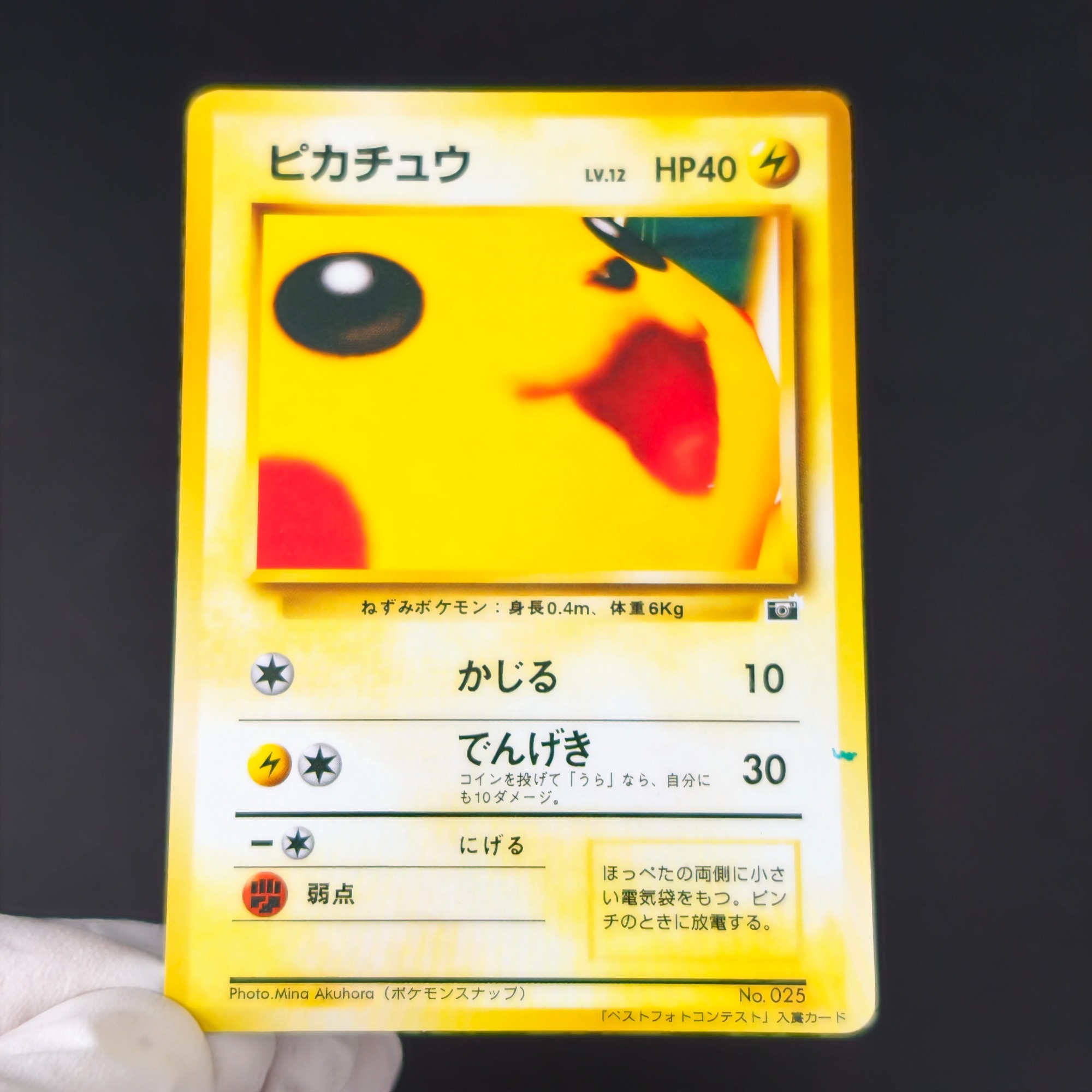 Retro Gaming Pokemon - 10PCS Pokemon Vintage Jongen Bulbasaur Charmander